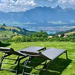Panorama Lejlighed Goldiwil