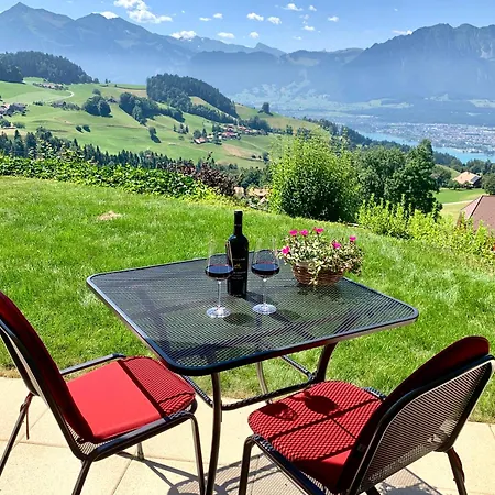 Lejlighed Panorama Goldiwil