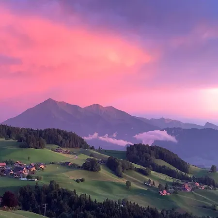 Panorama *