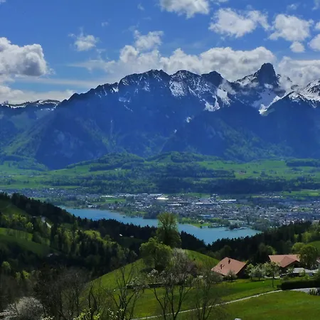 Lejlighed Panorama Goldiwil