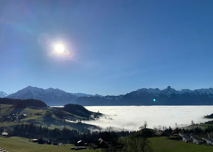 Panorama Lejlighed Goldiwil