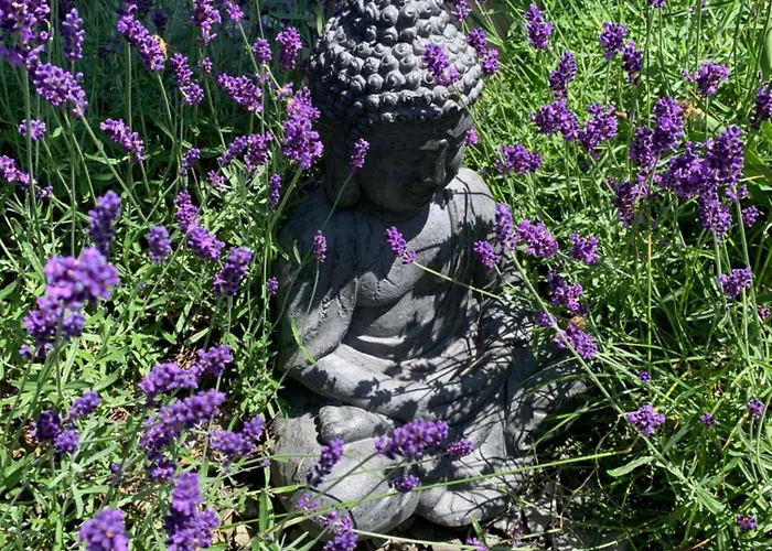 Apartmán Panorama Goldiwil