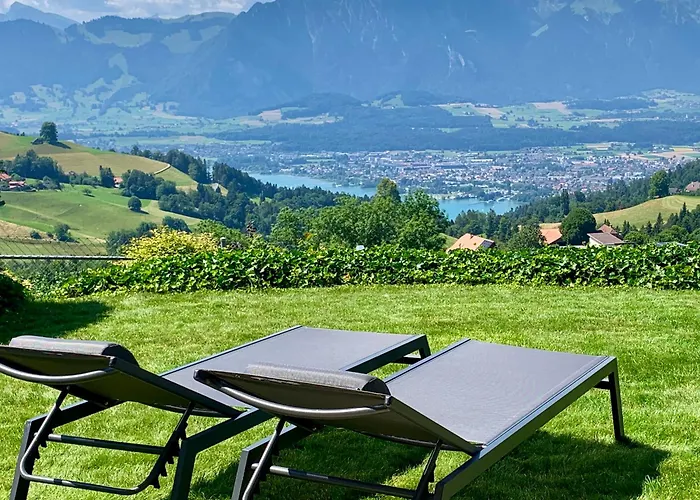 Panorama Appartement Goldiwil