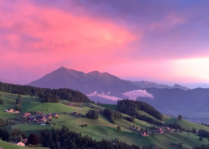 Panorama *